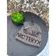 Шапка Arcteryx чоловіча чорна шапка Арктерикс тепла зимова шапка чоловіча Арка біла спортивна на зиму сіра Арка